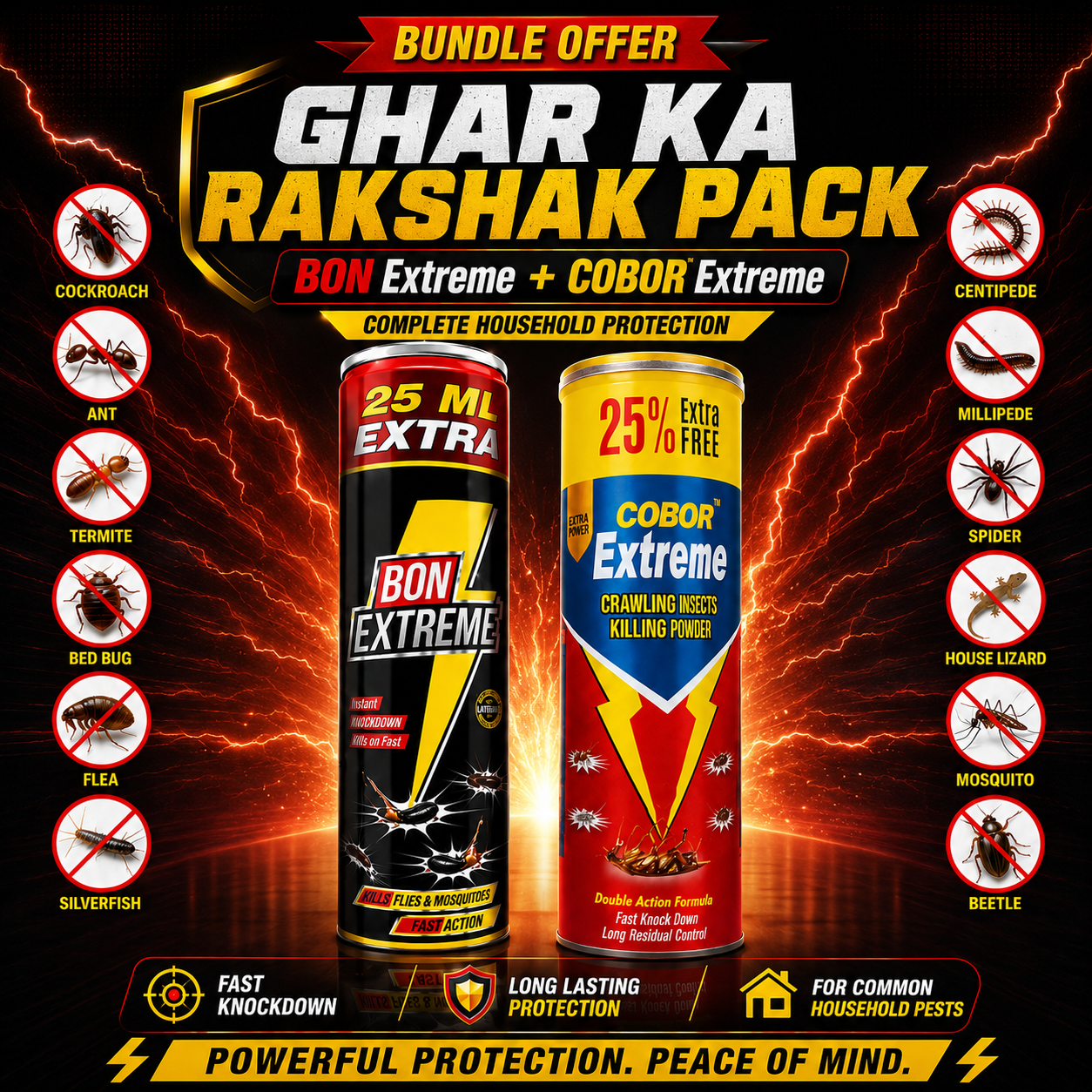 TB Fast Action Insect Killer Combo